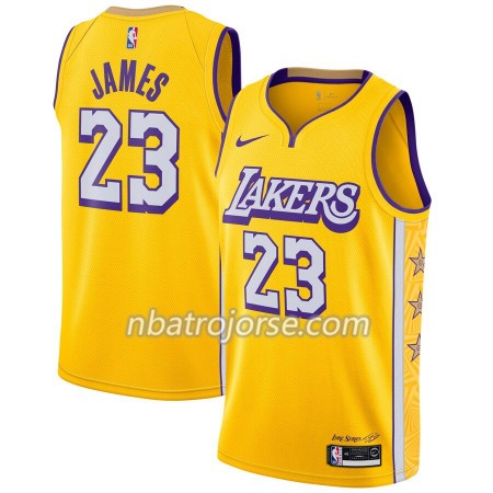 Män Los Angeles Lakers Tröja LeBron James 23 2019-20 Nike City Edition Swingman